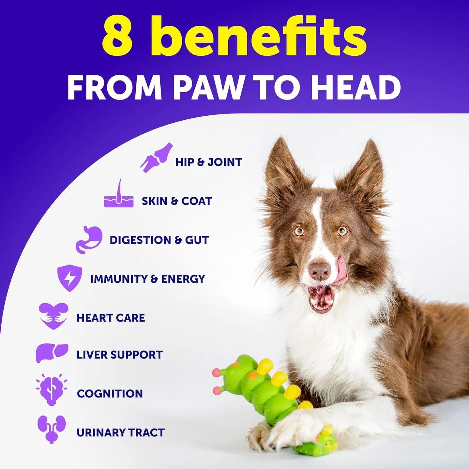 Healthy Paws 20-in-1 Dog Multivitamin Chews | Hip, Joint & Immune Support